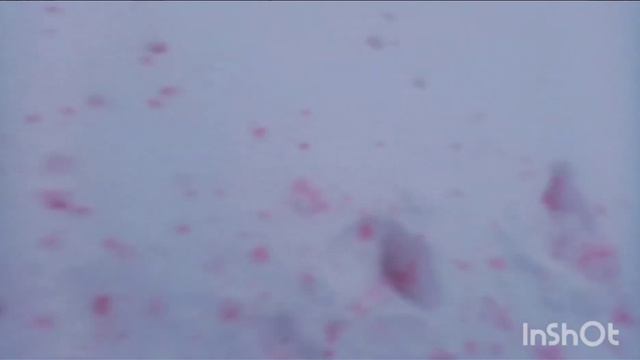 НЕ ПОНЯТНОЕ ЯВЛЕНИЕ. ЖУТКОЕ ВИДЕО... ДЕТЯМ НЕ СМОТРЕТЬ! смотреть онлайн