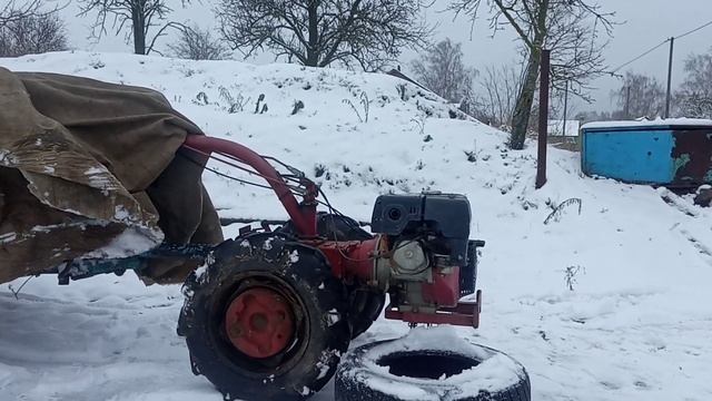 Мтз Продаю верного друга смотреть онлайн