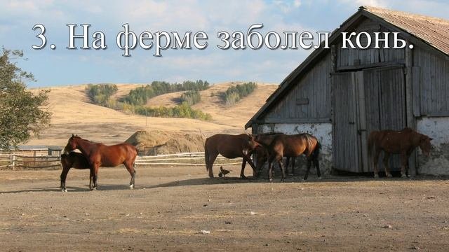 5 лучших историй с моралью