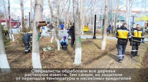 Сотрудники компании "Самотлорнефтегаз" провели субботник возле своего офиса...