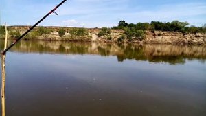 Фидером набомбил почти полное ведро. Рыбалка в Алтайском крае, река Чумыш.