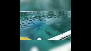 Филиппины | О.Баракай | Чистейшие пляжи и самый дешёвый отель на острове.