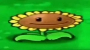 Подсолнух танцует под: папа дуру дуру вап