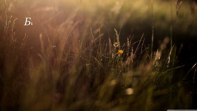 Учителю посвящается.Красивое стихотворение с музыкой смотреть онлайн