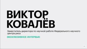 Уборка риса в 2023 году: трудности и пути их решения || Виктор Ковалёв