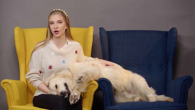 Новости недели от «Хвост Ньюс» #3 смотреть онлайн