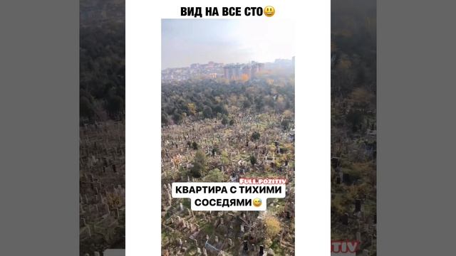 Соседи ТОП ))
