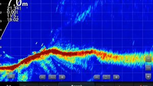 Окунь на бугре… #garmin #livescope #panoptix