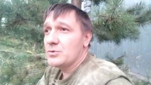 Брусника, сорт Рубин.