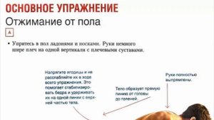 Нормы ГТО- отжимания