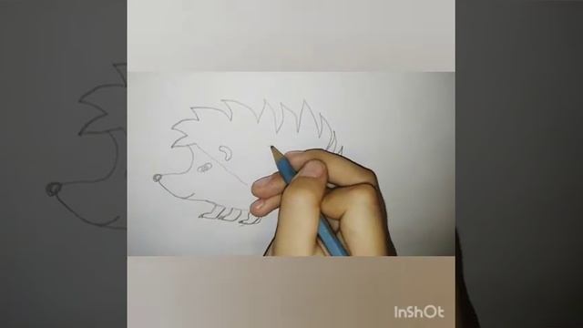как нарисовать ёжика легко.кашидани чайра. смотреть онлайн