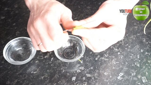 Как избавиться от заложенности носа? Капли Алоэ – творят чудеса. смотреть онлайн