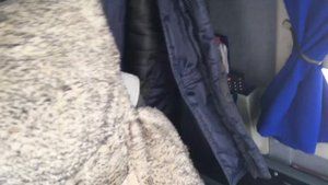 НЕФАЗ 5299-37-42(обзор)