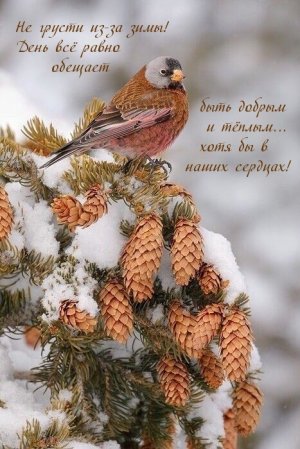 Самый Добрый День! Музыкальная Открытка!