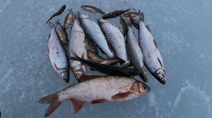 22.04.19.\ ЗАВЕРШЕНИЕ СЕЗОНА \ ЭКСТРЕМАЛЬНАЯ РЫБАЛКА