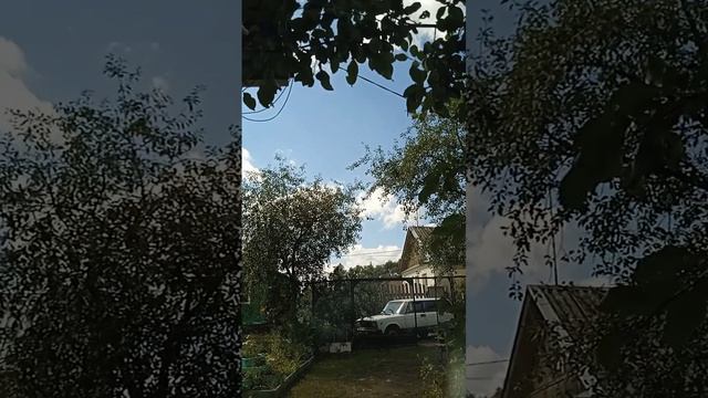 тренеровка