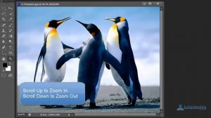 Photoshop Tutorial : Using Hand and Zoom Tool in Photoshop CS6