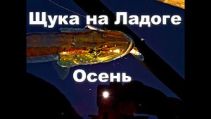 Ловля ладожской щуки  Осень