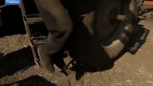 ВОСКРЕСНОЕ ВРЕМЯ. 09.09.2018