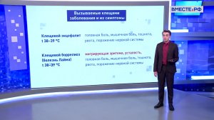Сезон клещей: как избежать и что делать при укусах? Вадим Марьинский. Сказано в Сенате