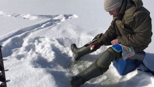 Ловим пескаря в Горном Алтае смотреть онлайн
