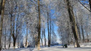 Зимний Починок