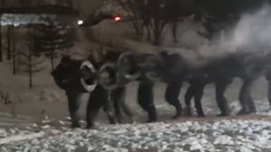 КМБ-2023. Страна Живых. Подольск.