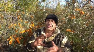 Как выбрать охотничий участок Канал Таёжная обитель Николая Абоимова