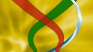 Основы Борьбы КОРЭШ | Пособие для Тренировок