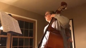 Welveart Orchestra Spider Dance