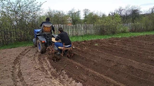 Картофелесажалка для минитрактора смотреть онлайн