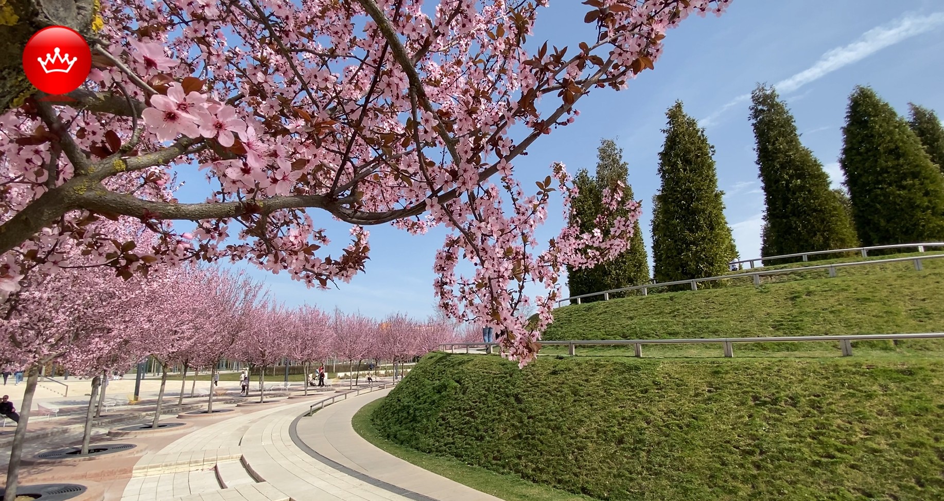 Цветущий парк Галицкого Весна