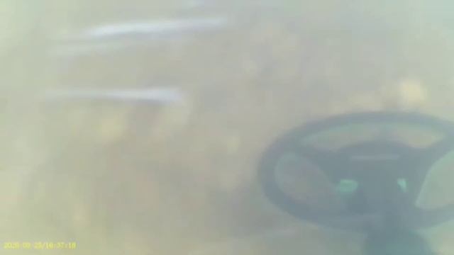 midi hoard nokta, makro# vol 2 jumpa cincin selver смотреть онлайн