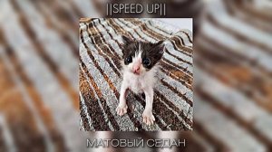 Daybe, ЛЯЛЬКА - Матовый седан (Speed up)