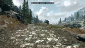 skyrim audio and visual bug