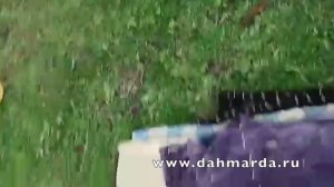 Чабаны из Кабадияна на пастбище в Фахрабаде. Перегон в горы