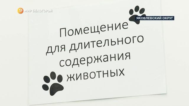 В Яковлевском округе открылся новый приют для бездомных животных