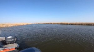 Ловля окуня. Поплапопер. Рыбалка на Днепре. Рыболовная база "Дельта Днепра" 06.04.2019