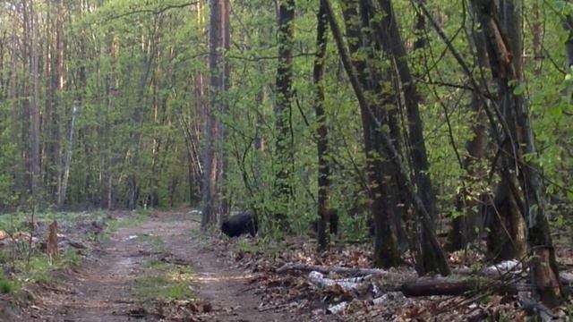 Голосом Николая Дроздова смотреть онлайн