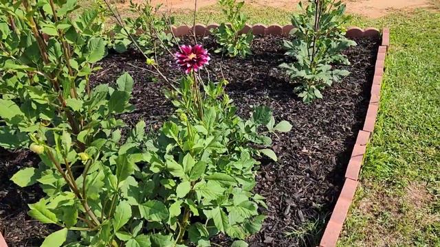 ОТВЕТ НА ВОПРОС ПОДПИСЧИКОВ / ГЕНЕРАЛЬНАЯ УБОРКА У КУРОЧЕК В КОМНАТЕ 😀 / АМЕРИКА. смотреть онлайн