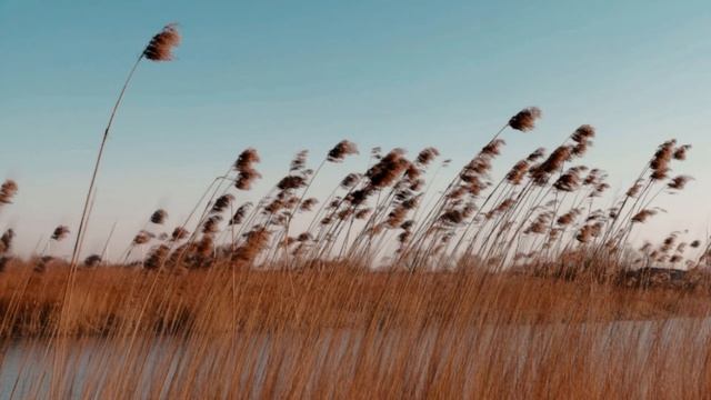 ШУМ ВЕТРА 10 Ч БЕЗ РЕКЛАМЫ ВНУТРИ ДЛЯ РАССЛАБЛЕНИЯ И МЕДИТАЦИИ. ЗВУКИ ПРИРОДЫ ДЛЯ ЗАСЫПАНИЯ.