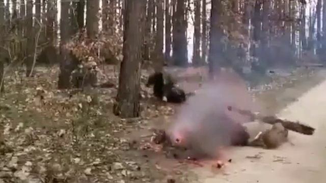 Прикол Два дебила это Сила смотреть онлайн