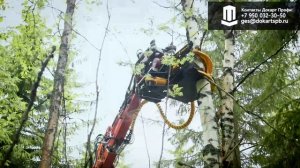 Валочная головка TMK 200 - маленький харвестер для больших задач