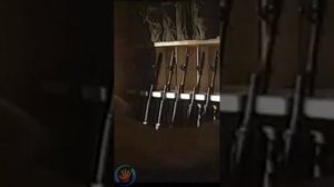 Шумит сосна - "Я ухожу"