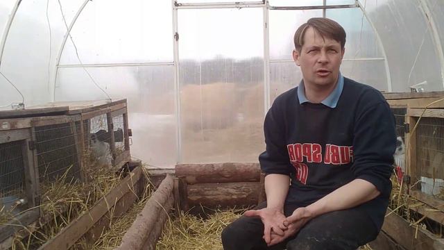 Покупатель пытался меня обмануть. Не вышло