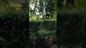 Таиланд, Пхукет, отель Най Янг бич