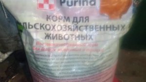 Как повысить удой и БМВК для лактирующих коров Польза или Вред? Есть ли смысл!