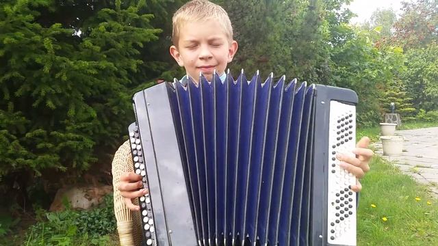 Украинская народная песня "Сусидка" на баяне смотреть онлайн