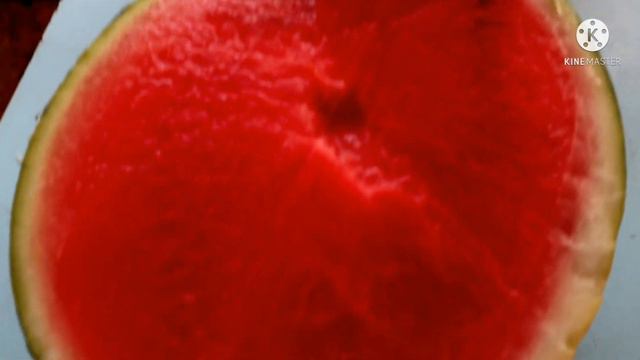 Осенний натюрморт на даче! смотреть онлайн