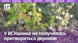ВСУшник пытался прикинуться деревом, но «маскировка» не сработала — наш оператор дрона его вычислил